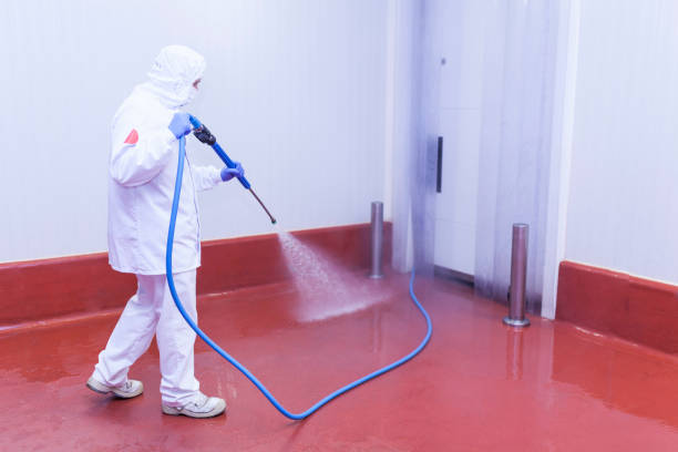 Professional Pressure Washing Services in Yutan, NE
